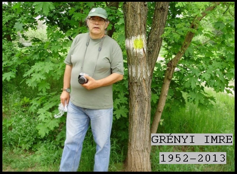 Grényi Imre. 1952 - 2003